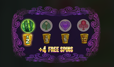 Big Bamboo Conversion